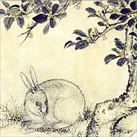 月中桂兔图（中国画·局部）蒋溥（清代） 故宫博物院藏